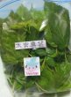 画像1: 特価◆内地産　桑の葉（無農薬）200g（少し固めの葉っぱの為特価） (1)